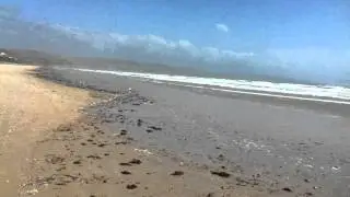 Aldinga Beach :)