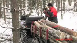 Atv log crane