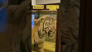Maneater #tiger killed by #jimcorbett @therahulaks #shorts #viral #youtubeshorts#trending#ytshorts