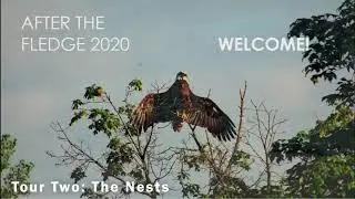 After The Fledge Tour Two: The Nests