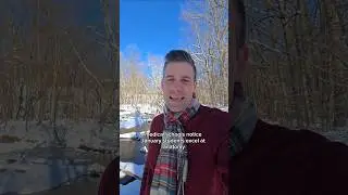 Почему дети, родившиеся в январе, никогда не забывают #память #месяцрождения #мозг #CapCut