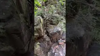 Bhim Dhar || Nrushingnath #waterfall #nature #nrusinghanath #travel #bhimdhar