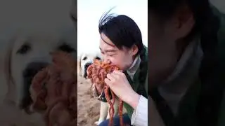#chineseMukbang #chinese Asmr ASMR Mukbang Amazing Seafood Chinese eating ShowPart #44