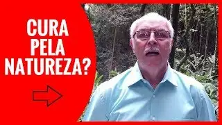 Livro a Sa&uacute;de Brota da Natureza PDF | Jaime Bruning