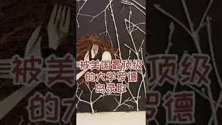 #留学#艺术作品集规划#被美国顶级艺术大学罗德岛，艺术大学录取的学生，创作的其中一幅作品，
