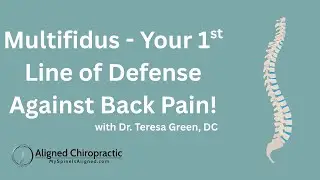 Chiropractor Richmond VA | Back Pain at Aligned Chiropractic