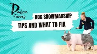 What Krew and Karis did wrong in Hog Showmanship at Gold Rush.  #showpigs #pigs