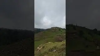 Samna Banj Ramnagar #nature