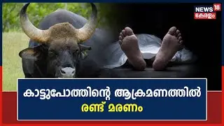Wild Buffalo Attack | Kottayam Kanamalaയിൽ കാട്ടുപോത്തിന്റെ ആക്രമണത്തിൽ രണ്ട് മരണം | Malayalam News