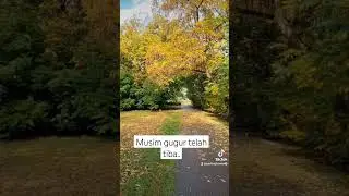 jalan jalan ke Belanda