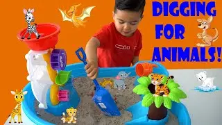 Digging In Sand, Finding All The Hidden Animals Zayn Looking For All His Furry Friends And Dinosaurs