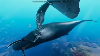 Close Encounters with Sea Giants! 🐋 Beyond Blue Exploration