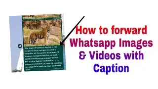 How to forward Whatsapp Images & Videos with Caption
