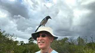 Nature and Garden near Cocoa Beach and Melbourne Florida 