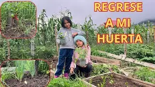 REGRESE  a mi Huerta después de Mucho TIEMPO - JOHANNA