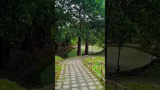 Beautiful Rohini park 🏔️👈#shorts #darjeeling_tour