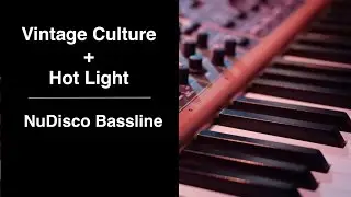 Vintage Culture + Hot Light [NuDisco Bassline] Secret Lover - DJ Luiza Berg