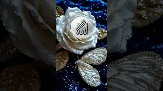 islamic video download 🕋🕋❤️❤️