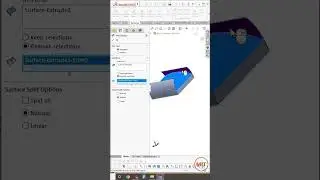 How to Use the Trim Surface Tool?