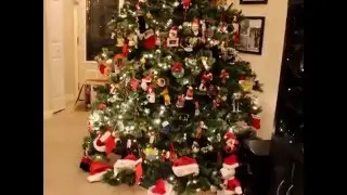 Patel Tree - Christmas 2013