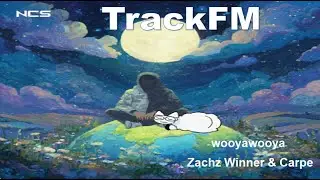 Zachz Winner & Carpe : wooyawooya : Mix
