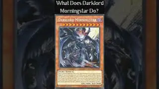 What Does Darklord Morningstar Do?