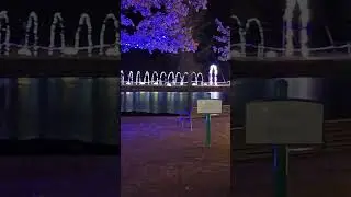 Holiday Lights Glow at Hudson Gardens 🎄 | Virtual Walk with Music