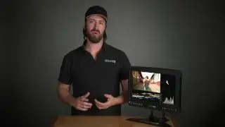 1703-P3 Overview: 17-inch monitor with P3 color accuracy