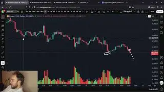 Bitcoin Cash BCH Is Dumping?!?!?!?! Noooooooooooo