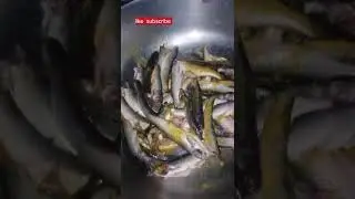 Easy hare chatni ki choti machli 👧#viral #trending #recipe #foryou #followme 