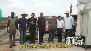 city waste treatment MSW gasification power plant