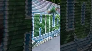 Hilo Hawaii mural #hilo #hawaii  #graffiti  #mural  #art