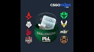 40+ Antwerp 2022 Challengers Sticker Capsule. Gold???????????????