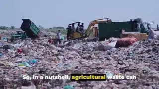 Green Energy Revolution: Turning Agricultural Waste into Energy