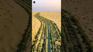 China Grew Forest In The Desert To Protect its Highway 🛣️ | China Desert Highway | #shorts #facts