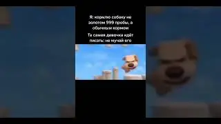 мем #833