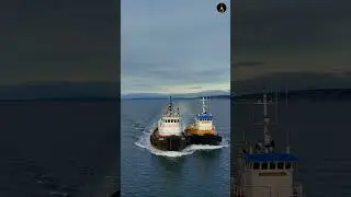 Two Tugboats ⚓ Ocean Ranger & Polar Cloud in Puget Sound | DJI Avata