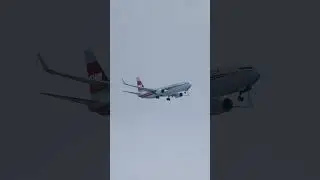 POV Plane Spotting | Denver International Airport | April | AA 737 800 N915NN