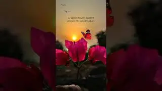 Flower // English motivational quotes #flowers #shorts #youtube #trending #viral