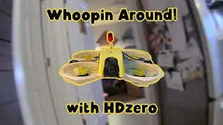 Whoopin around with HDZero