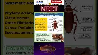 Cockroach NCERT Explained in 30 Seconds | NEET 2026 #neetprep #studytips #neetbio