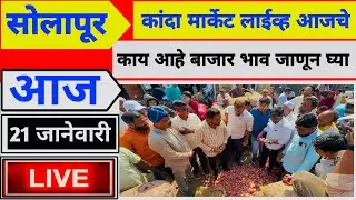 Solapur Kanda market live 21 जानेवारी 2026 सोलापूर कांदा मार्केट live भाव