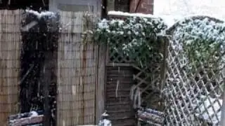 Snow in Woodley, Reading - 6 January 2010