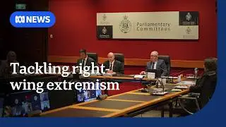NSW inquiry into right-wing extremism 'the tip of a much larger iceberg' | ABC NEWS