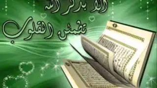 الشيخ القارئ  هاني الرفاعي   سورة ال عمران