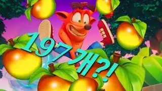 챌린지 미션:움파 과일을 모두 먹어라!![크래쉬 밴디쿳 온더런]