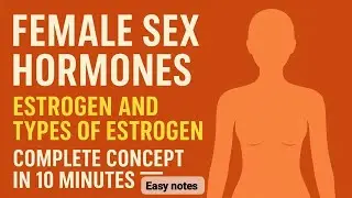 Female Sex Hormones || Estrogen & Types of Estrogen | Complete Concept in 10 Minutes | Progesterone 