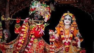🙏🌹Krishna Flute Relaxing Music🌹💛🙏 || कृष्ण बांसुरी धुन #bhajan #trending #shorts #radharani 