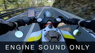 Vitpilen 401 POV [RAW Onboard] Colle del Piccolo San Bernardo [4K]