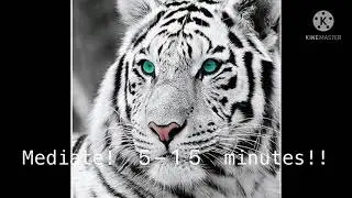 Shapeshifter spell! | (• ◡•)| (tested, works!!) -//read description//-
